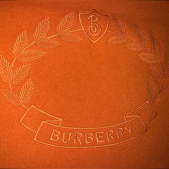 BURBERRY CASHMERE SCARF - Picture 2 of 6